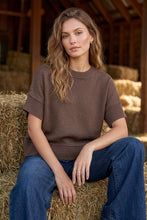 She + Sky Drop Half Sleeve Sweater Top in Brown